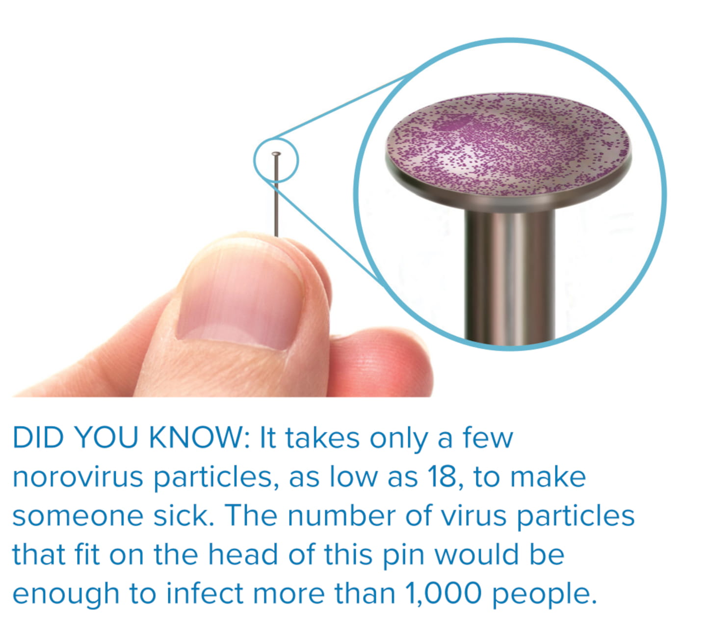norovirus particles on pin