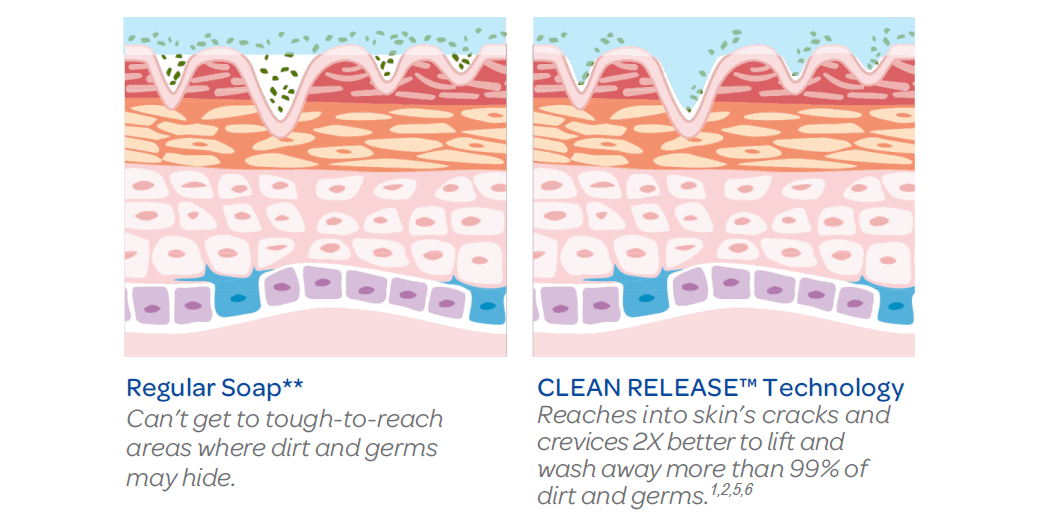 CRT Clean Relase Skin Diagram
