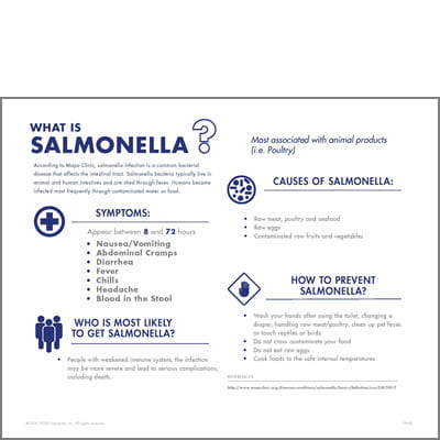 What is Salmonella
